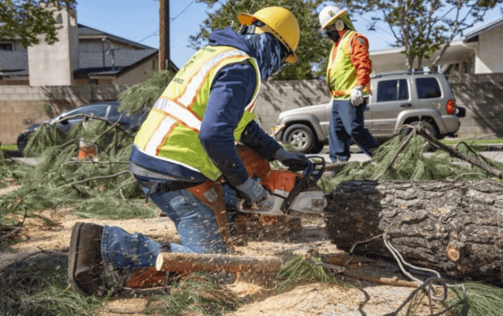 24-Hour Emergency Arborist Service