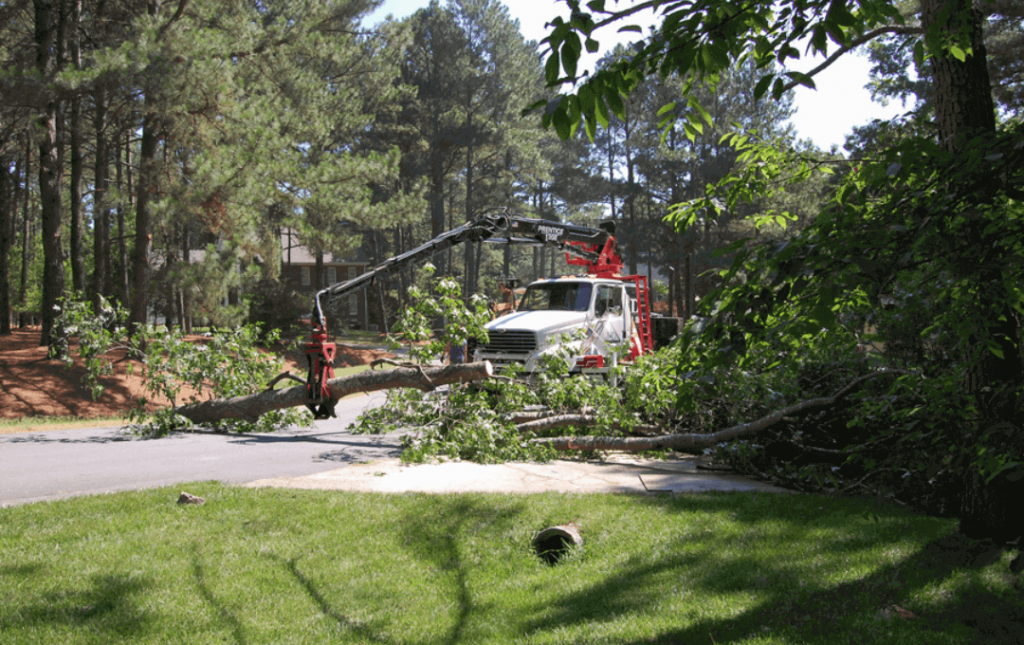 24/7 Emergency Service for Tree Removal from Road