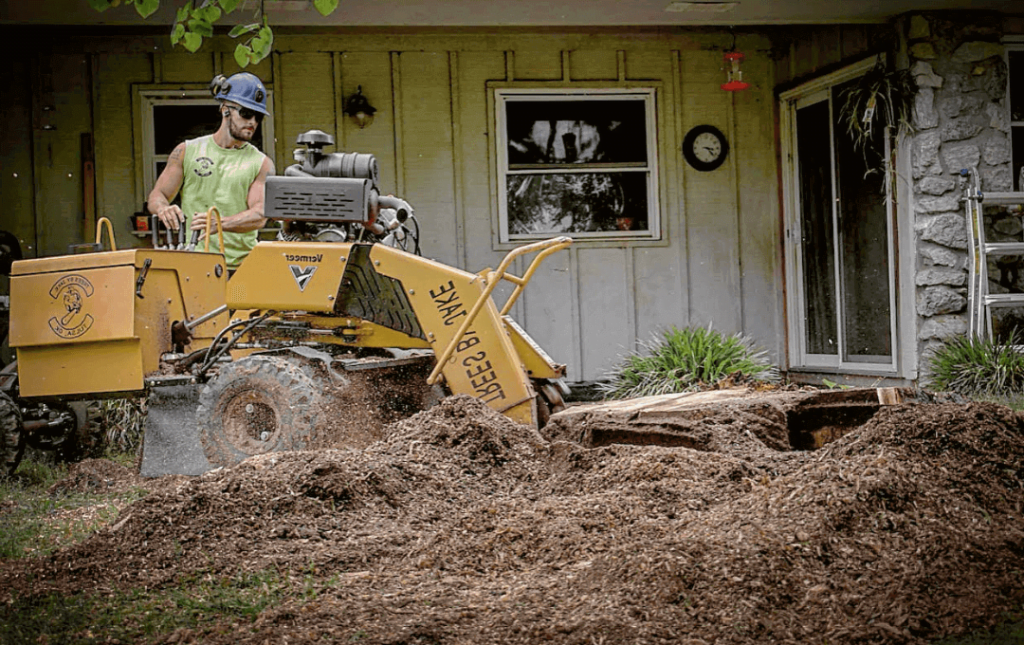 Affordable Stump Removal & Grinding Service