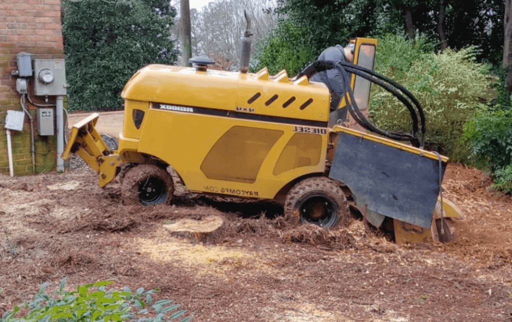 Why Choose Us for Tree Root Removal & Grinding